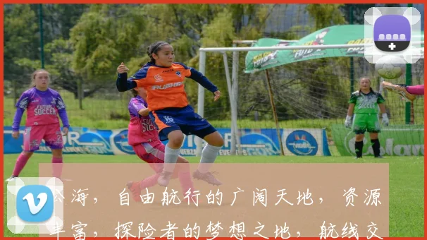 公海，自由航行的广阔天地，资源丰富，探险者的梦想之地，航线交汇，机遇无限